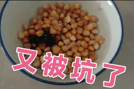 老家自己种的玉米可以在微波炉里面做成爆米花？视频封面