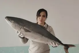 菜鸟宝妈用20斤大鱼做香煎鲅鱼 切鱼像翻车现场 看着不错等你来尝视频封面