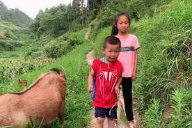 妈妈外出打工，八岁小姑娘每天放学回家还要照顾弟弟妹妹，很心酸视频封面