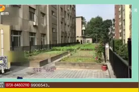 小区楼顶开“农场”，居民可免费种菜！我们一起去瞅瞅！视频封面