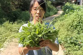 农村丽丽摘了一把南瓜尖，加上大蒜炒了一盘，吃起来清脆爽口