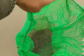在河里没有鱼漂怎么钓鱼？