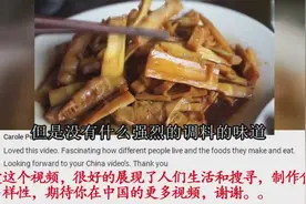 外国小伙在中国乡村挖竹笋，打糍粑，油管网友：中国农村真美丽..视频封面