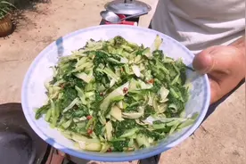 绿色有机小白菜，用妈妈的做法炒出来，这才是家的味道！视频封面
