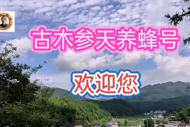 蜂箱门口为何很乱？蜜蜂为什么到处乱钻？古木为你一一解答
