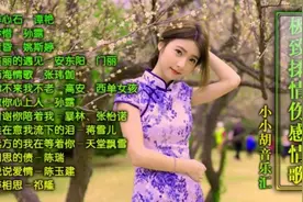 谢谢你陪着我，远方的我在也等着你视频封面