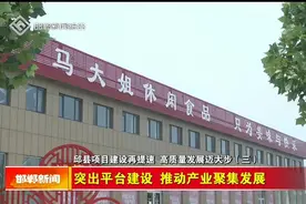 邱县项目建设再提速 高质量发展迈大步（三）视频封面