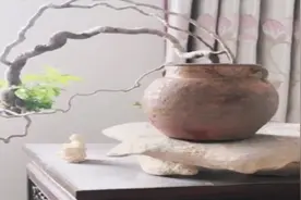 精品根艺造型的一组黄荆素材盆景，造型婀娜多姿，奇特优雅！视频封面