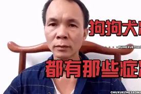 狗狗得了犬瘟热，都有哪些症状，这个作品献给所有养狗的人。视频封面