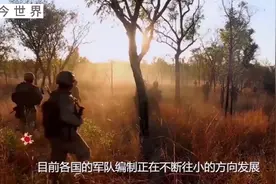 目前各国的军队编制正在不断往小的方向发展，盘点一下各国编制视频封面