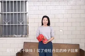 小析在河南买牡丹种子回来种，花农说用100℃水来泡，还会发芽吗?视频封面
