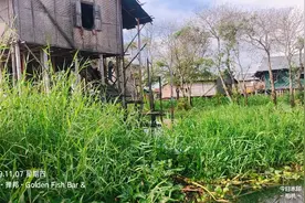 2019年11月自由行去到缅甸🇲🇲路上碰到五位中國自由中国同胞视频封面