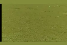 莲的各种用处，和药用价值视频封面