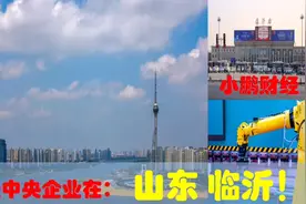 中央有多爱山东临沂，临沂的超级中央企业引领鲁南经济发展视频封面