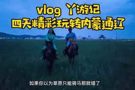 内蒙自驾游攻略！你以为内蒙只有草原?没想到通辽这么好玩视频封面