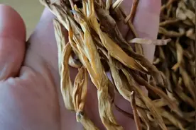 年货必备大健康食品，干菜四大金刚之一黄花菜功效和作用大，美食视频封面