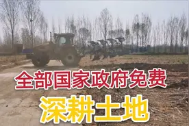 400亩土地，全部享受国家免费深耕，谁说农业没发展？视频封面