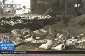 探访南京最大的生活垃圾焚烧发电厂,生活垃圾焚烧发电前这样处理!视频封面