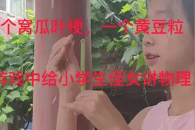 一个窝瓜梗，一个黄豆粒，游戏中给小学生侄女讲物理视频封面