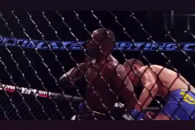 UFC为何呼吁禁止李小龙招牌招式，国外拳手直言：根本无法接招视频封面