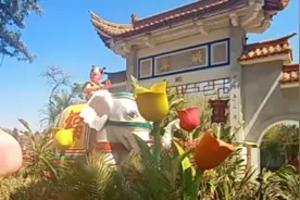 疫情后昆明市区翠湖公园经历了什么大门紧锁海鸥消声匿迹什么情况视频封面
