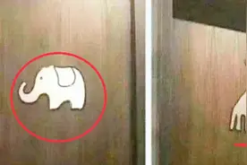 日本奇葩厕所标识，门口只有“大象长颈鹿”，网友：分不清就忍着视频封面