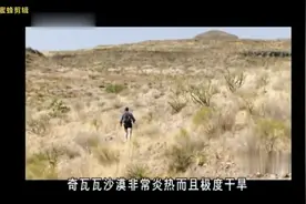 贝尔荒野求生之德州沙漠（汉语配音）视频封面