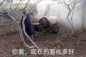 自走式果园喷药机，喷一亩15元，一次6亩7喷头齐喷雾化效果好视频封面