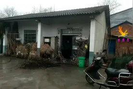 自己打算懦弱就没人逼你去坚强视频封面
