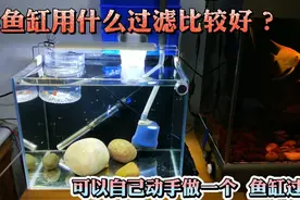 鱼缸用什么过滤才能水清鱼靓？试试自己动手做个过滤，效果非常好视频封面