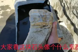 雕刻师傅去找料，无意间发现一块奇石，堪称无价之宝视频封面