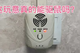淘了一个电子驱鼠驱蚊器，看下是不是交了智商税？视频封面