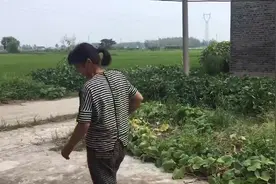 小李顶着大太阳骑毛驴22公里，回农村，还是喜欢乡下视频封面