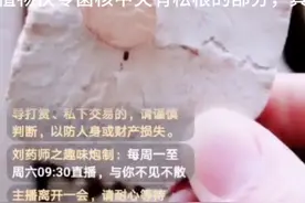 中药炮制之茯神视频封面