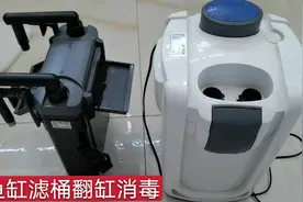 老缸新开用高锰酸钾消毒，泡缸3天，重新开缸，养鱼先养水视频封面