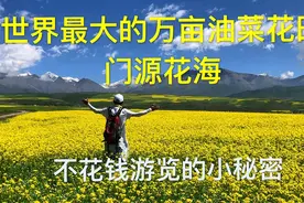 万亩门源花海据说是世界最大的油菜花田，来这里其实可以不用门票视频封面