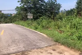 萍乡市莲花县玉壶山森林公园拍摄视频封面