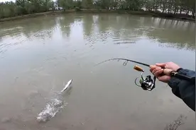 路亚降温不好钓，不存在！来感受一下！