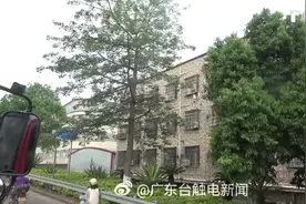 4岁女童被卡四楼防盗网！哭着跟消防哥哥“碎碎念”……视频封面