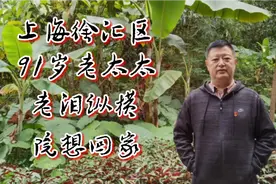 老人被送养老院，5年来想回家遭儿女反对，总哭泣实在可怜视频封面