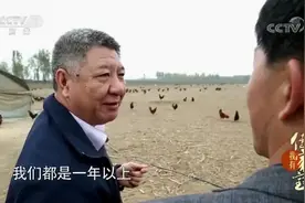 马家鸡用料很讲究，选用的鸡年龄有标准，煮鸡的老汤更是历史悠久视频封面
