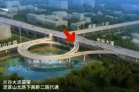 光谷大道高架凌家山立交视频封面