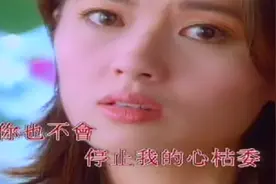 MV-李丽珍-《爱了就不后悔》视频封面