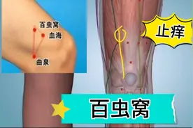 缓解皮肤瘙痒   按摩“百虫窝”穴位能够驱虫止痒   属于经外奇穴视频封面