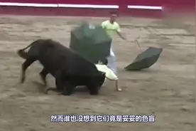 愤怒的公牛对着红色铁门就一股脑撞去，真的是太不可思议了！视频封面