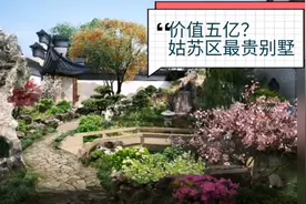 实拍苏州姑苏区五亿元豪宅，值不值？你自己看，真正的私家园林视频封面