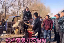狗贩子下手又快又狠，狗狗被钳住脖子，拍摄现场触目惊心视频封面