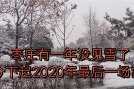 山东枣庄:有一年没见雪了，今天下起2020年最后一场雪。视频封面