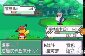 口袋妖怪:闪光，豆豆鸽就问欧不欧。视频封面