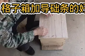 格子箱加导础条好处多，管理方便不闷热。